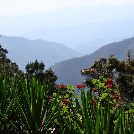 San Jose Del Pacifico- Cabanas Camino Al Cielo 1 外观 照片