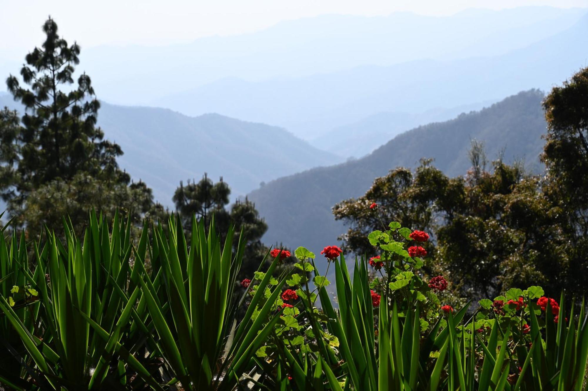 San Jose Del Pacifico- Cabanas Camino Al Cielo 1 外观 照片